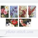 인터아치 이미지