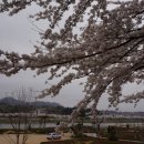 봉황산 공원 이미지