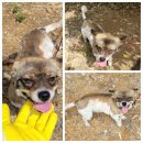 무안고속주유소 이미지