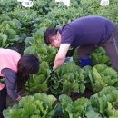 윤인농장 이미지