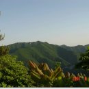 영남숯불가든 이미지