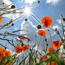 공간의움직임 이미지