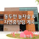 밤곶이 놀자 숲놀이터 | 동두천 자연휴양림 계곡 물놀이와 놀자숲 즐길거리 총정리