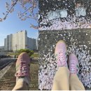 주촌서희스타힐스 이미지