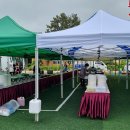 보길초등학교 이미지