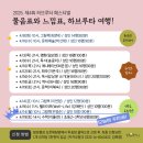 이돌연 강사의 수학 하브루타 페스티벌 후기!