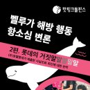 “벨루가 해방 촉구 행동은 무죄다” 항소심 변론 2편. 롯데의 거짓말 이미지
