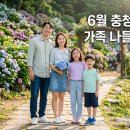 [일원2-저녁] 퇴근 후 연필 드로잉 6주 A (4/30~6/4) | 충청도 6월 가볼만한곳 수국 명소 가족 나들이 코스 — 당일치기부터 1박2일 완전 정리