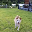 운일암 높은음자리 이미지