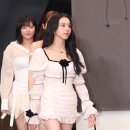 채영 카카오 검색결과