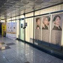 더뷰티이진영 | 배곧 속눈썹펌 아무 데서나 하면 안 되는 이유 I 이뽐뷰티 배곧본점