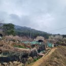 상화농장 이미지