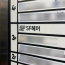 대구 퍼스널컬러 염색 잘하는곳⭐️ ‘SF헤어 동대구점’ 미용실 추천 강추 후기👍💛