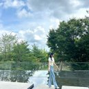 건강빵 만들기(주간)-오전 | 대전의 반전 유잼 여행 2탄 (ft. 브런치 카페, 티셔츠 만들기 체험, 꿈돌이산도,성심당 튀소정거장, DCC점)