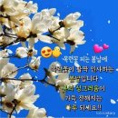 꽃피는봄날 Daum카페