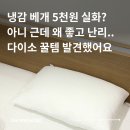 다이소 냉감 베개 후기 | 5천원에 찾은 여름 베개 | 높은 베개 싫다면 추천