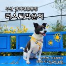 러스틱라운지 이미지