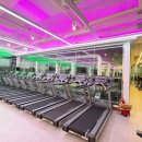 더 패밀리파크 휘트니스 3호점 | 더패밀리파크휘트니스3호점(유산소의 중요성)