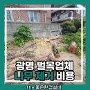밤나무고을벌목 | 광명 벌목업체 나무 제거 비용