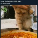 금호그랜드 이미지