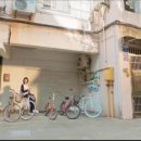 소미호 이미지