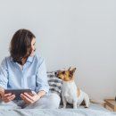 안녕펫(물어보개) 이미지