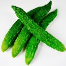 여주-0065 이미지