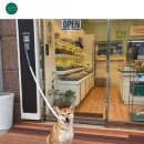 장유중앙빌딩(장유빌딩) 이미지