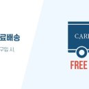 캐리스 (Carrise)