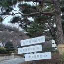 라비돌호텔 | 아이랑 가기 좋은 수도권 가성비 호텔 라비돌 리조트 온돌방 후기