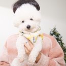 수풀스튜디오 이미지
