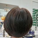 보브스타일 | #경북도청신데렐라미용실 #클리닉염색