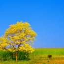 삼주공인중개사사무소 이미지