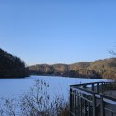 청계호수 자작나무숲 펜션 이미지