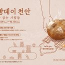 빵데이 이미지