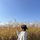 아나나스맨션