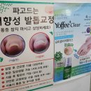 인계동 네일샵 네일바이썬 패디큐어 후기