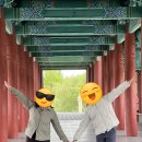 브이로그