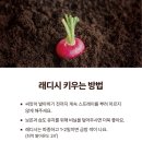 고마워토토 - 화성시 동탄대로21가길 14-15 | 고마워토토