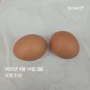 욜로PC방 제주본점 | 4월 3째주┃일하당 놀당 먹당