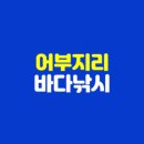 어부지리바다낚시: 바다 낚시의 매력에 빠지다