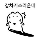 라라약국 이미지