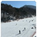 의상디자인 야간 | 무주 스키장 렌탈샵 야간스키 렌탈 활용후기