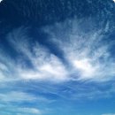 (주)제주친구 이미지