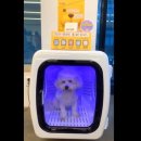 주식회사 하이독 이미지