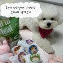 자연팜 | 로렌츠 팜밀 강아지 자연화식 오리·돼지 급여 후기