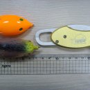 (주)덴토스 이미지