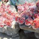 욱이농장 이미지