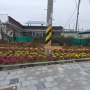 화지8리 이미지