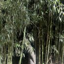 호화농장 이미지